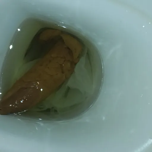 FastSkier000