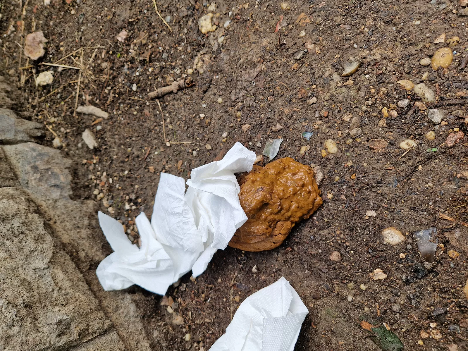 Budapest SHIT