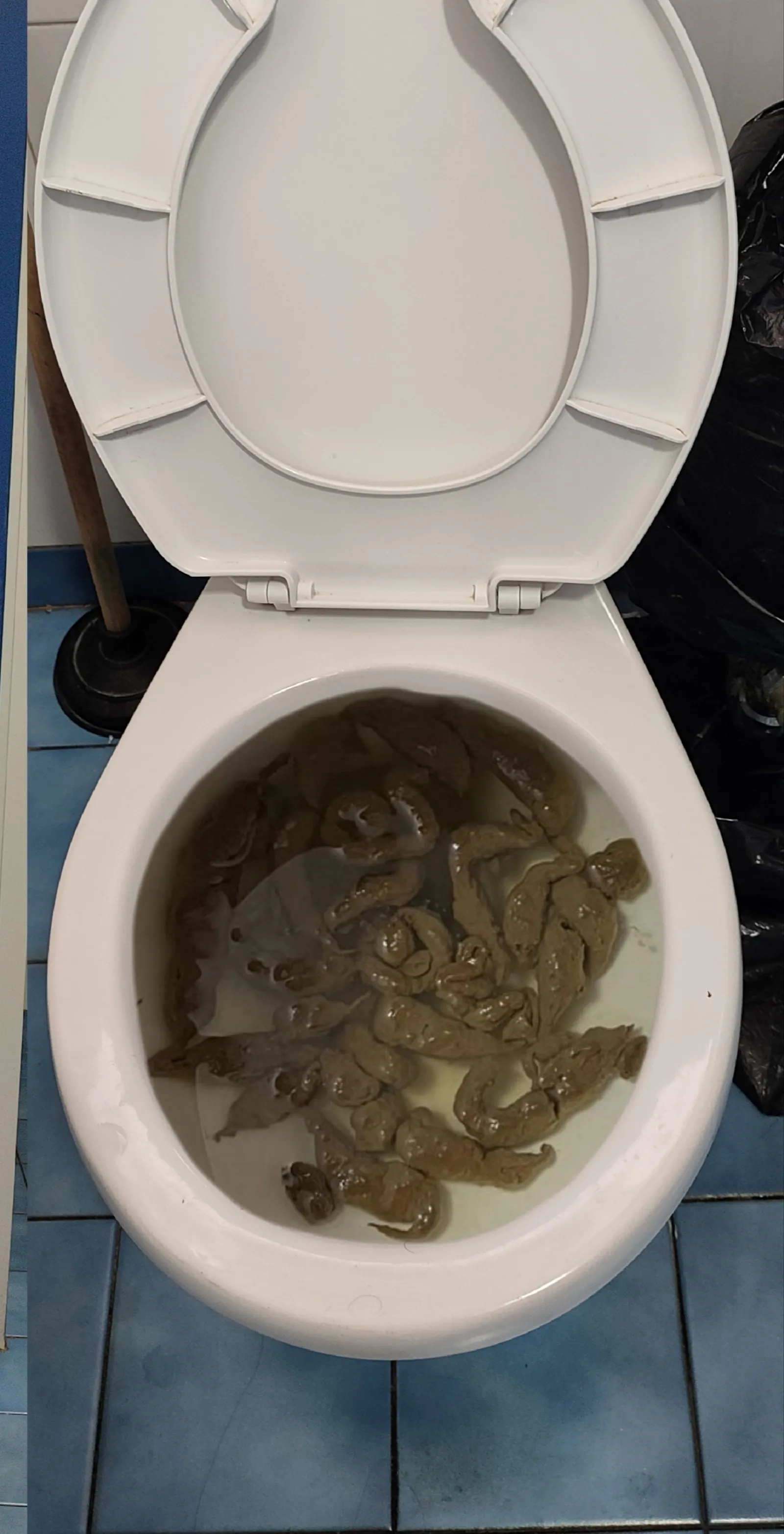 Después de varios días sin poder hacer popó