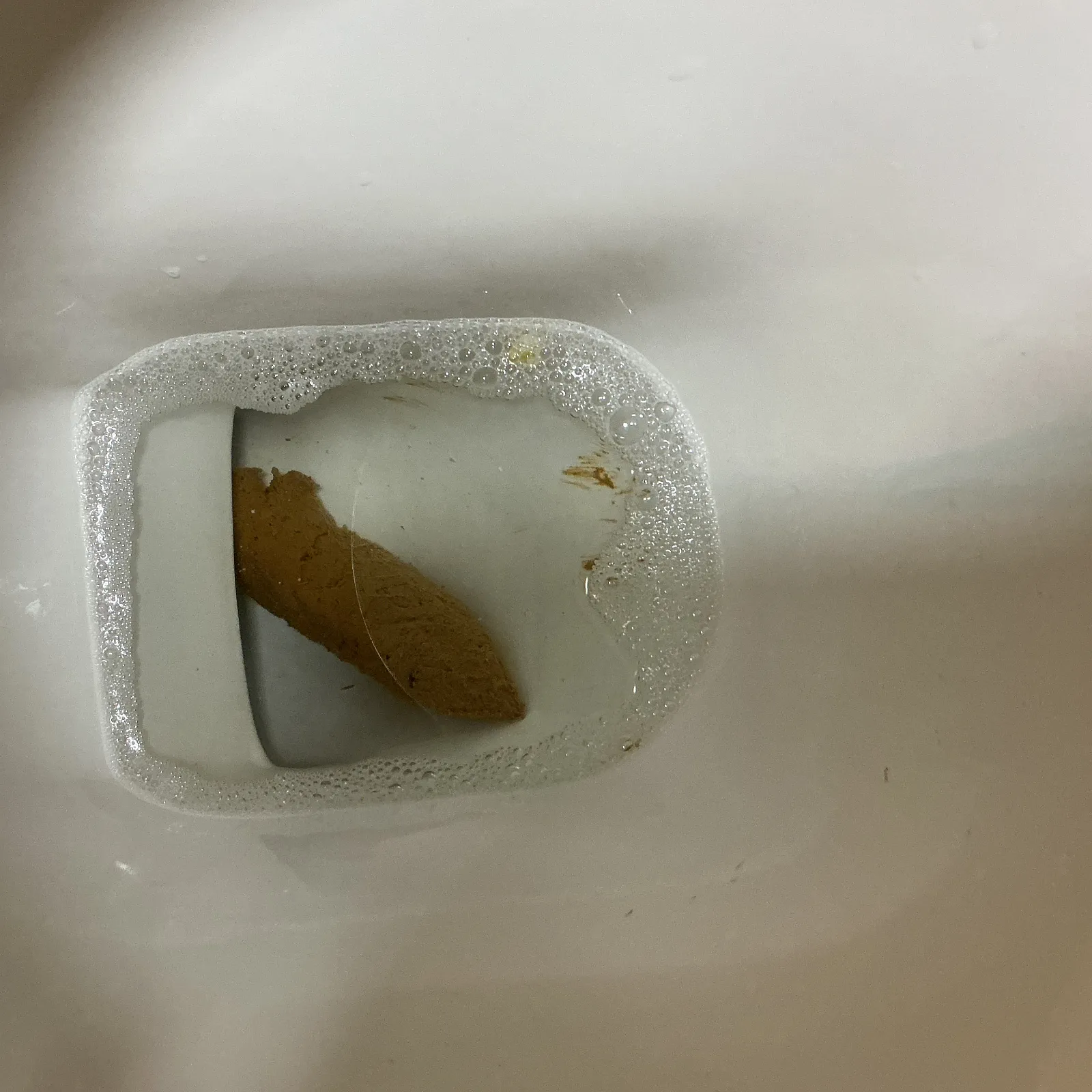 Had a wonderful poo just this minute