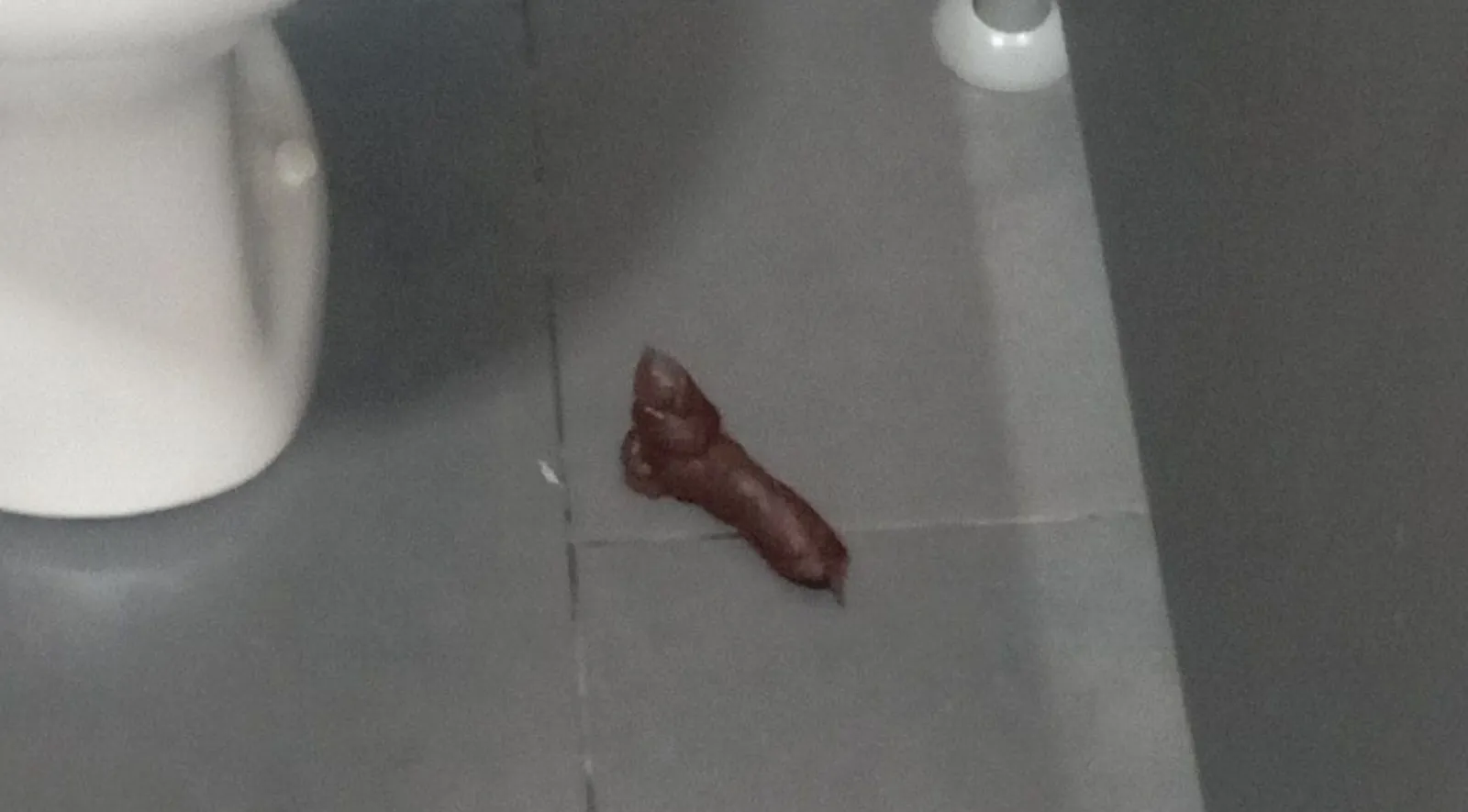 bro missed the toilet