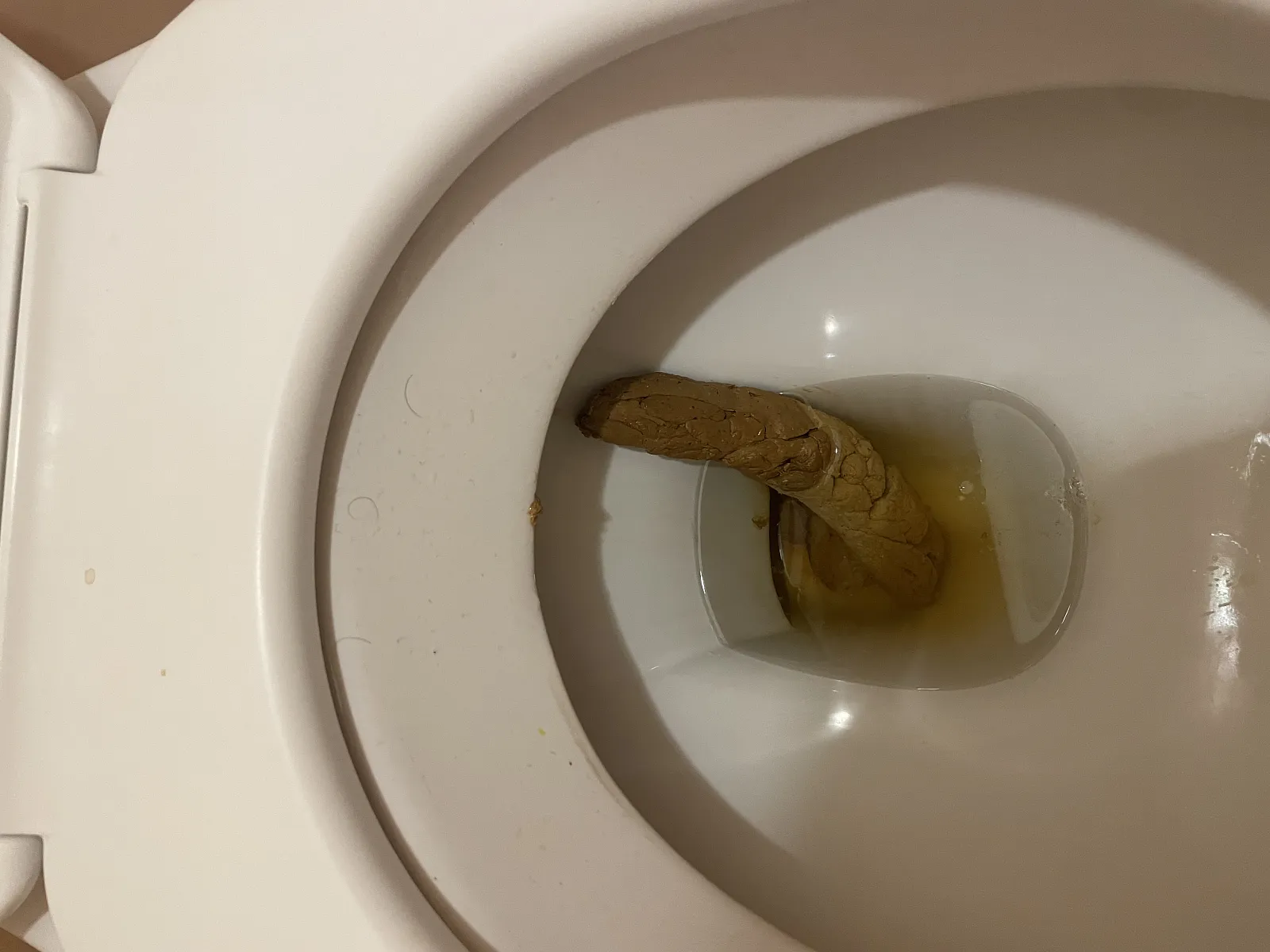 Lord of the Sewage System