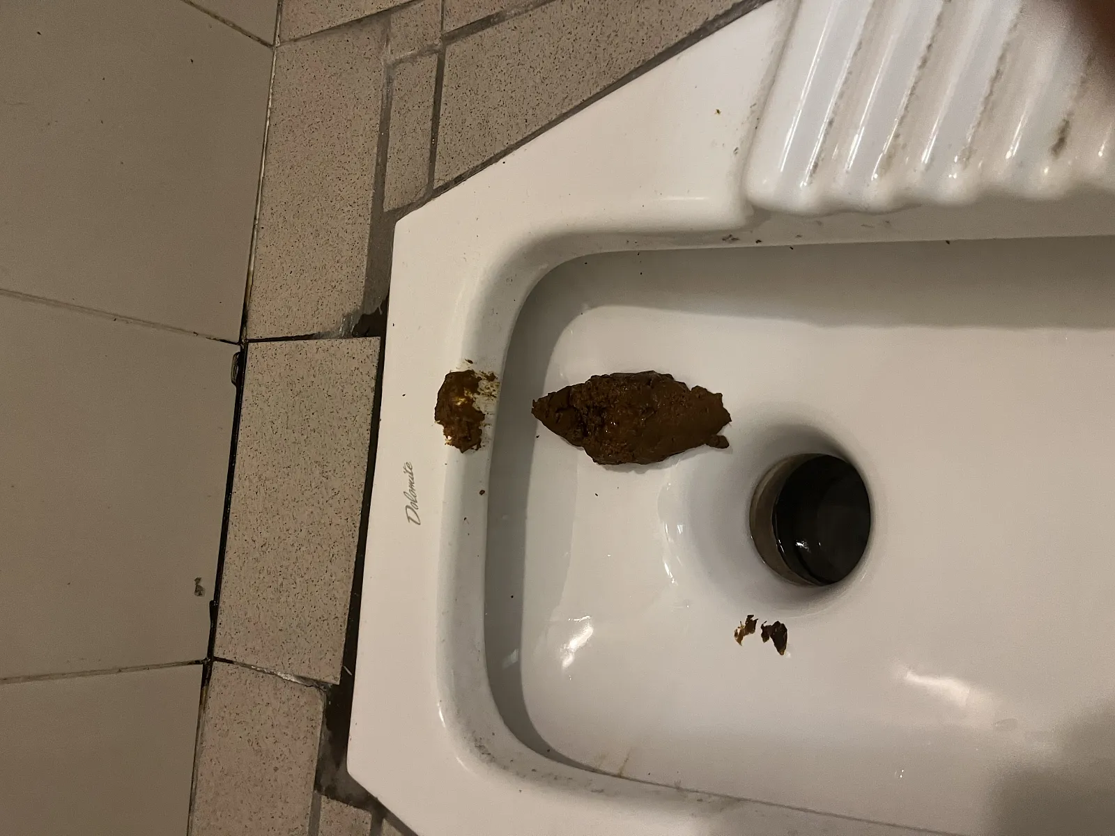 Poo