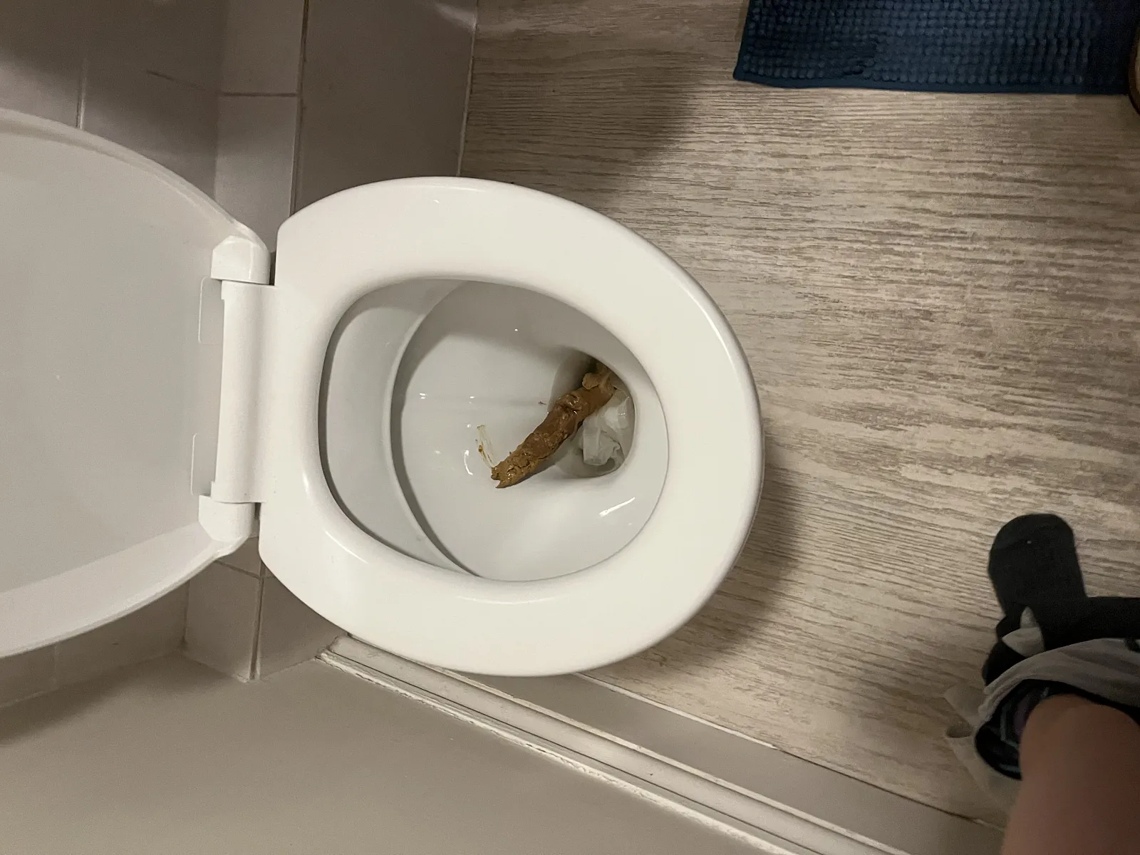 The whooper for youngling