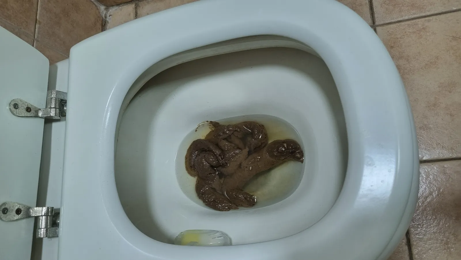 big poo