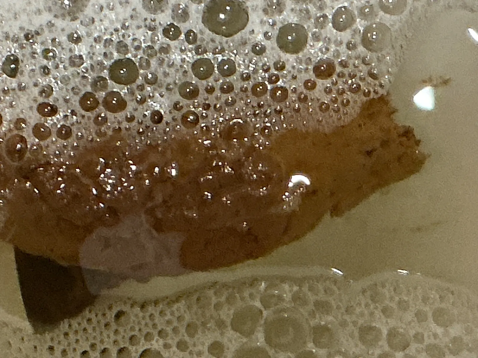 Early Morning poo poo