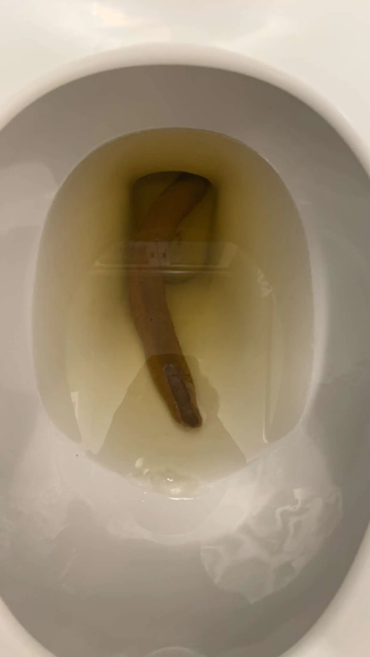 log