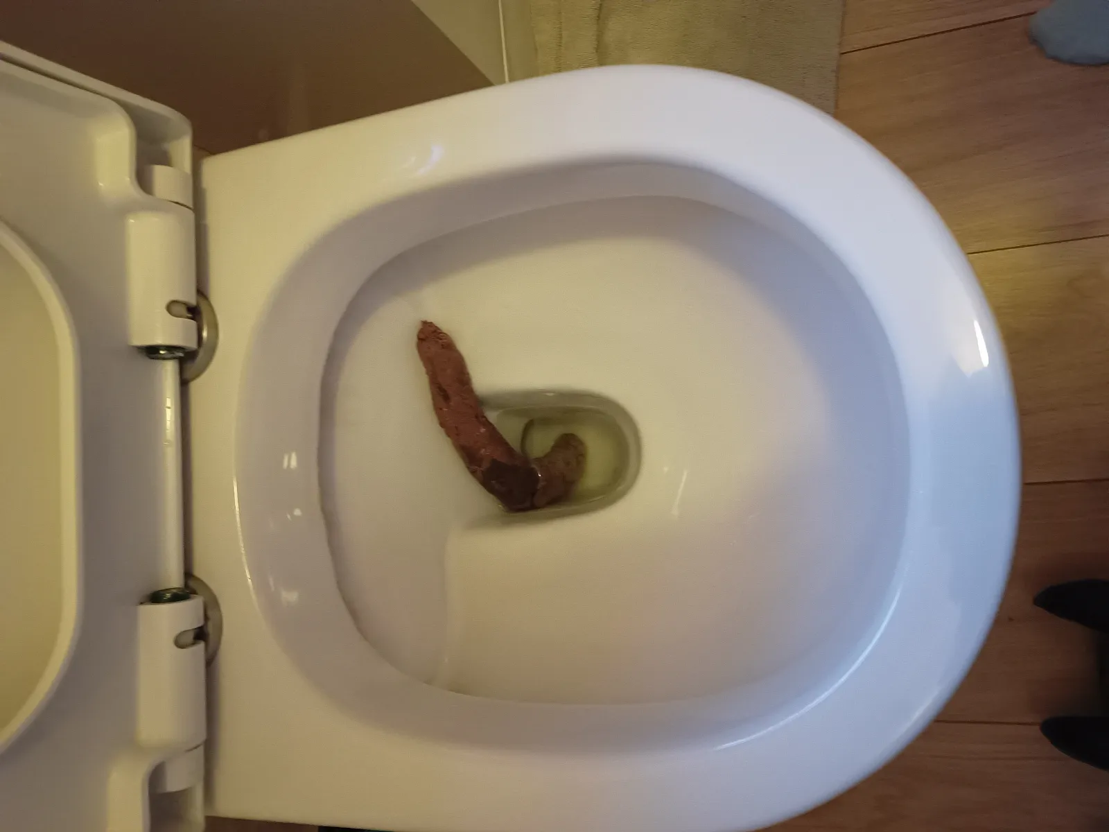 Self supporting poo