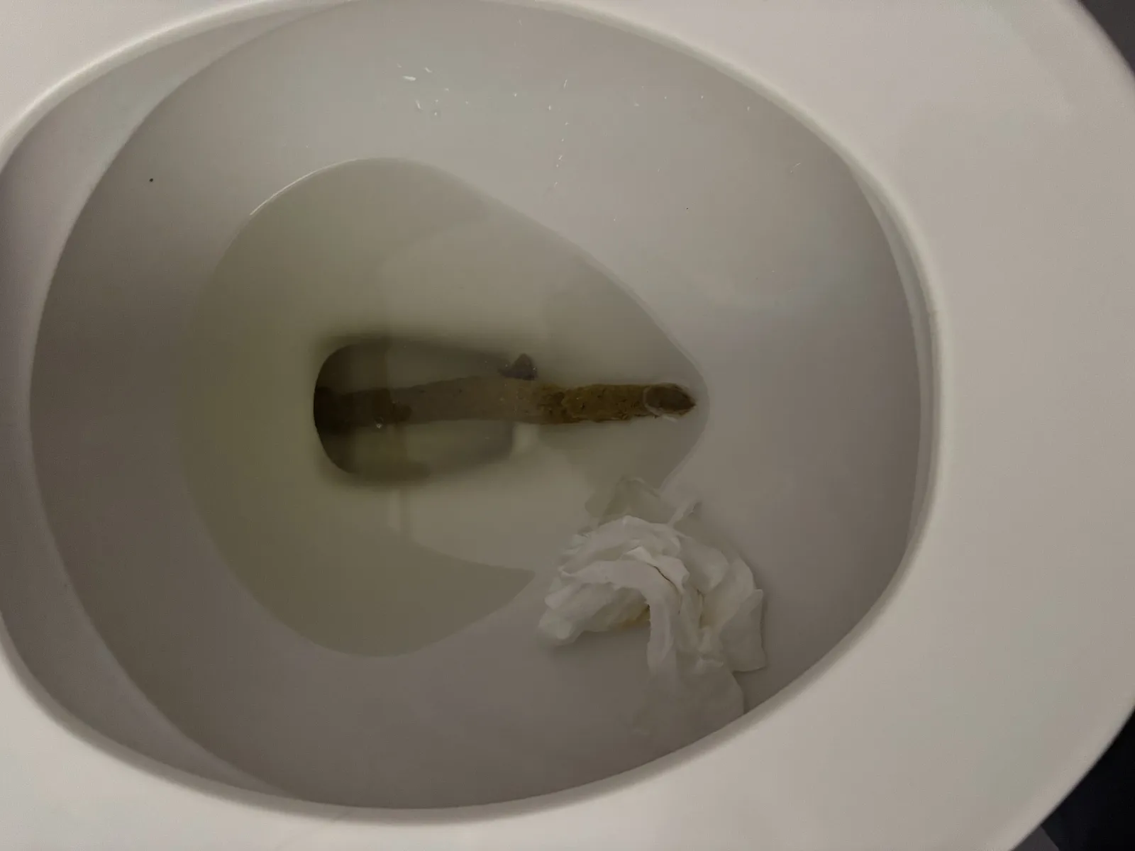 Long poop please 5 star