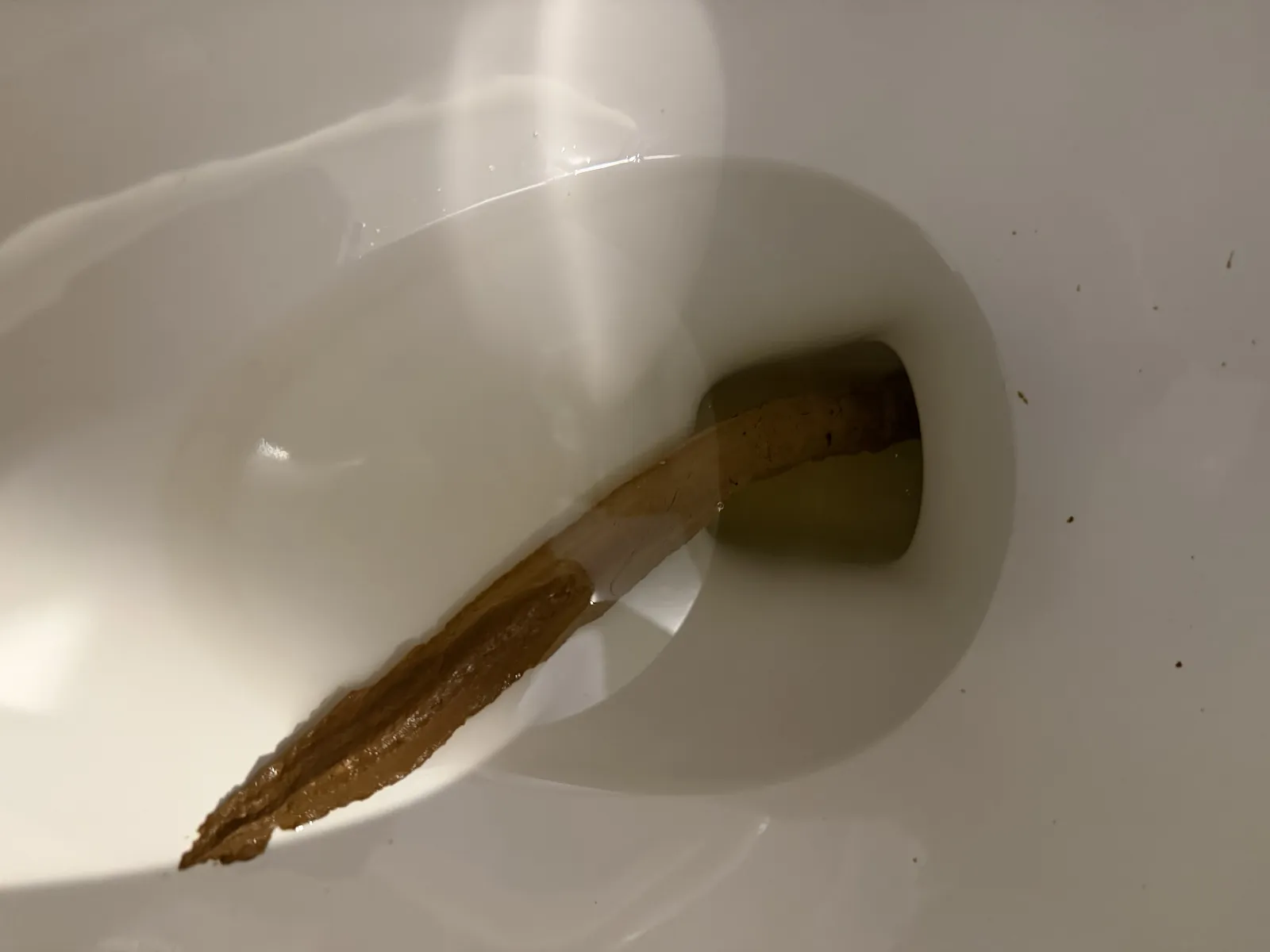 A glorious log
