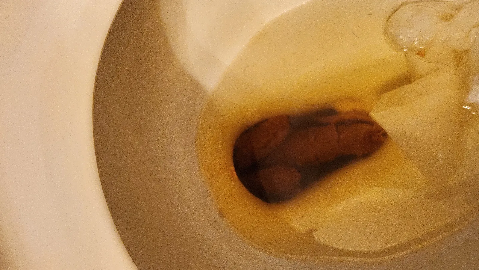 Poop penis