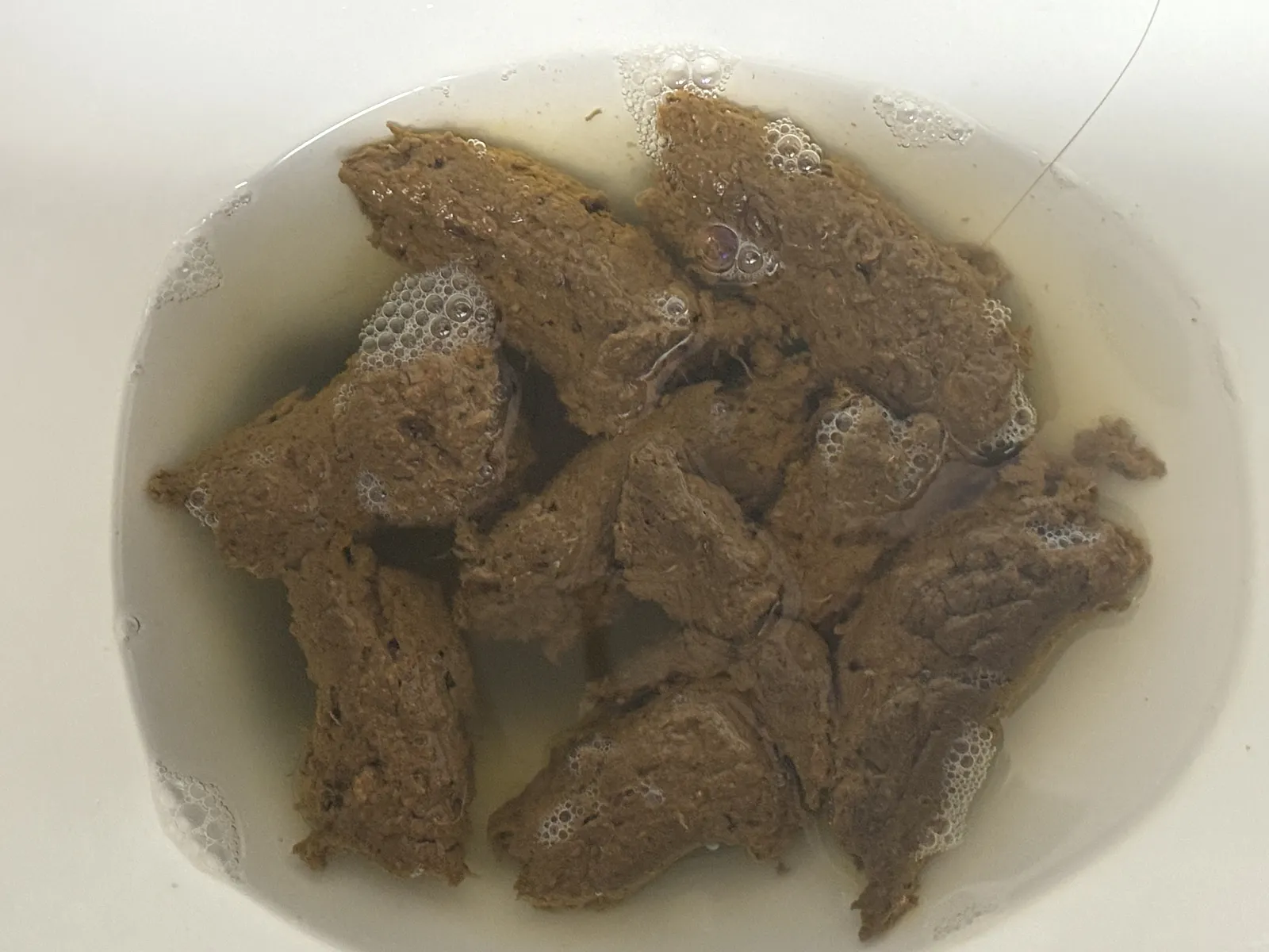 Alan’s Poo Fest