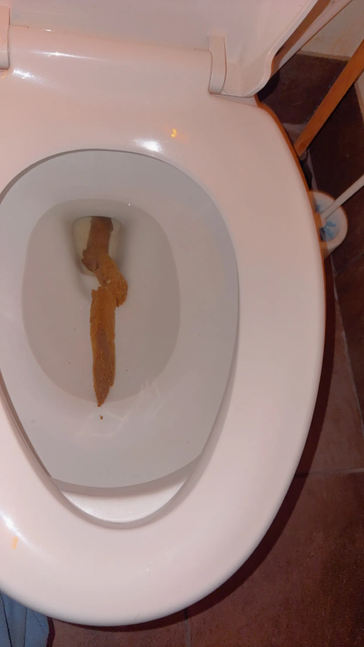 The lingering poo