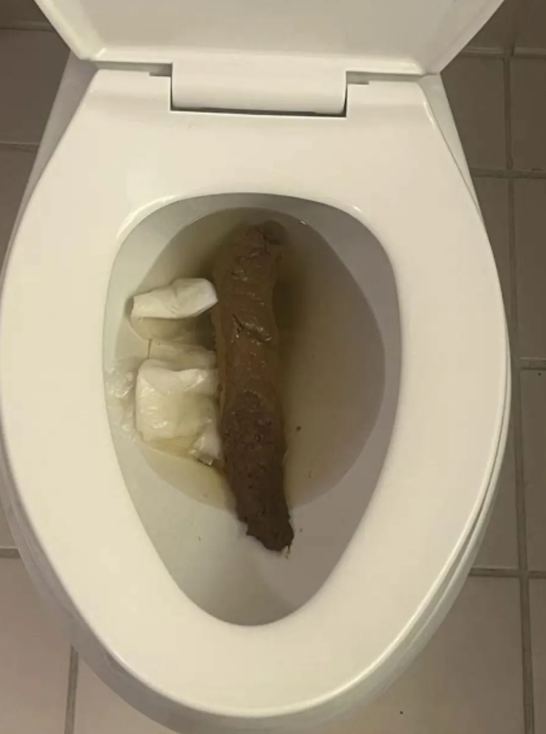 Gfs poop