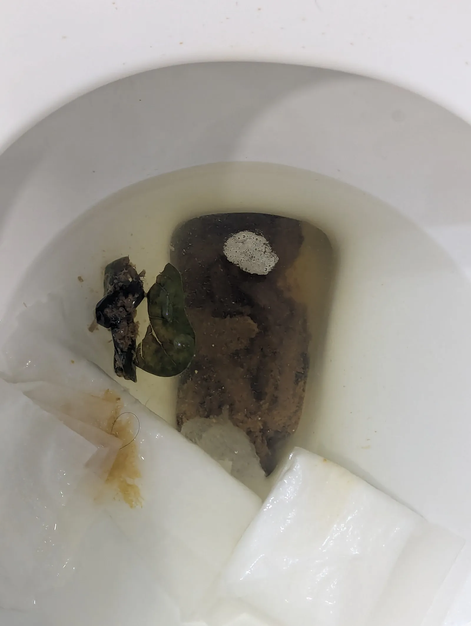 Poopy leaf
