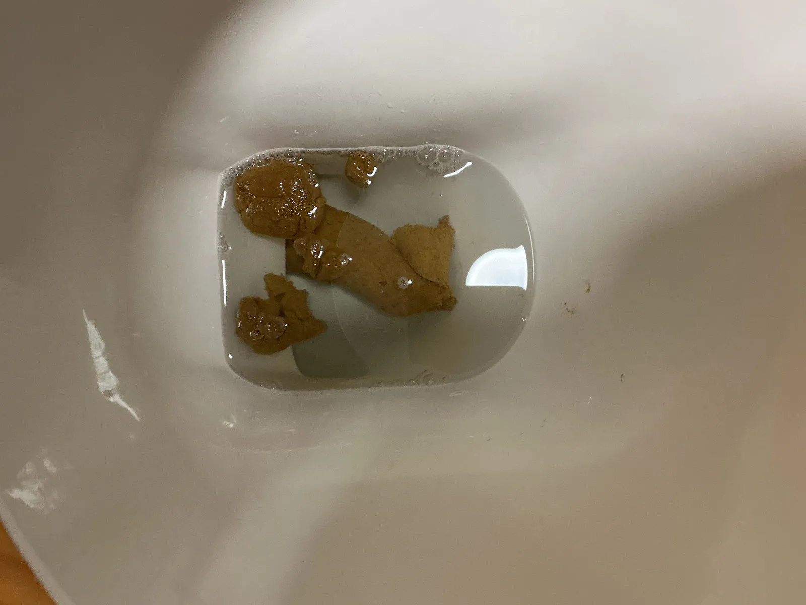What a whopper of a shit