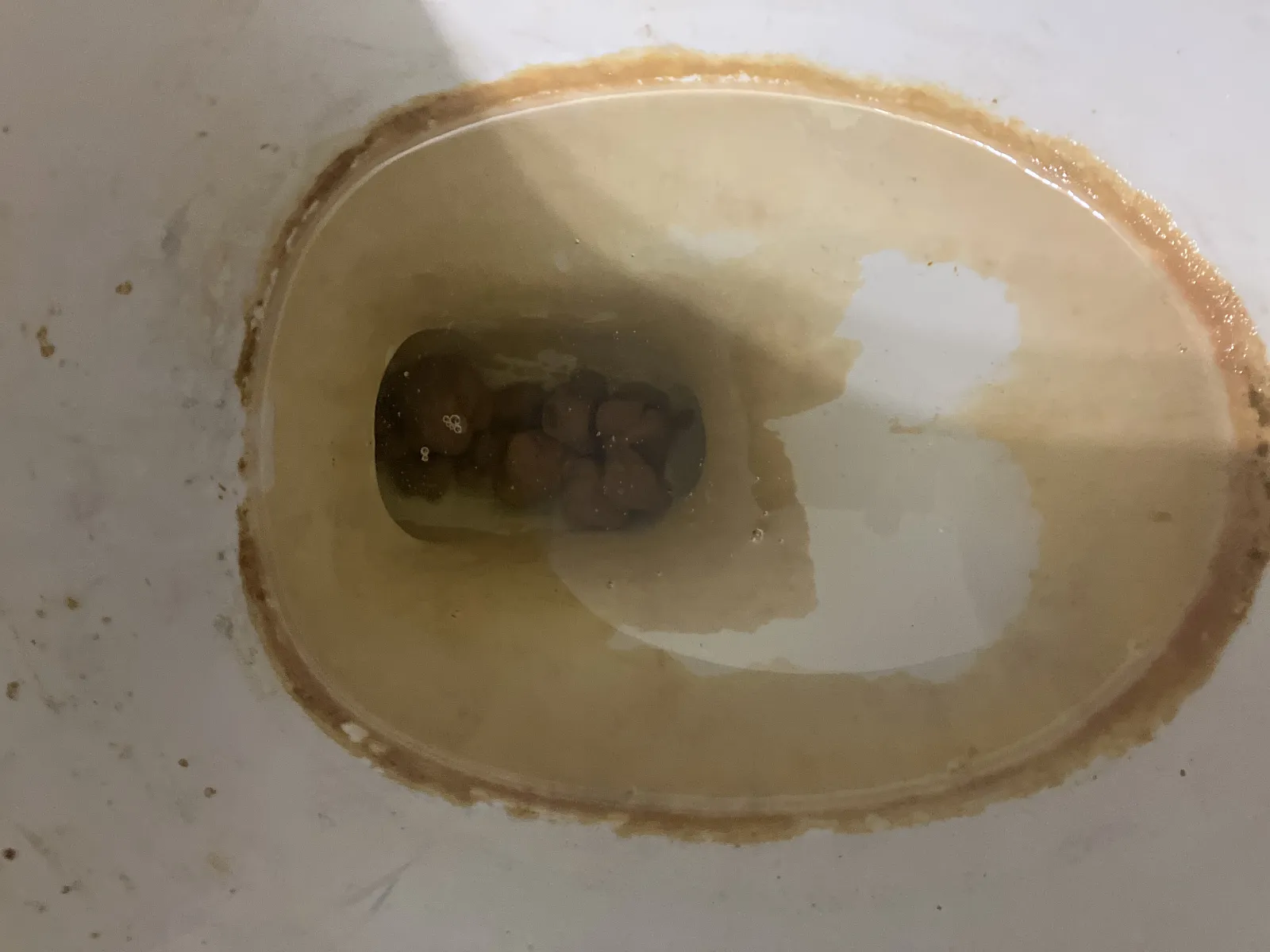 Really cool poop