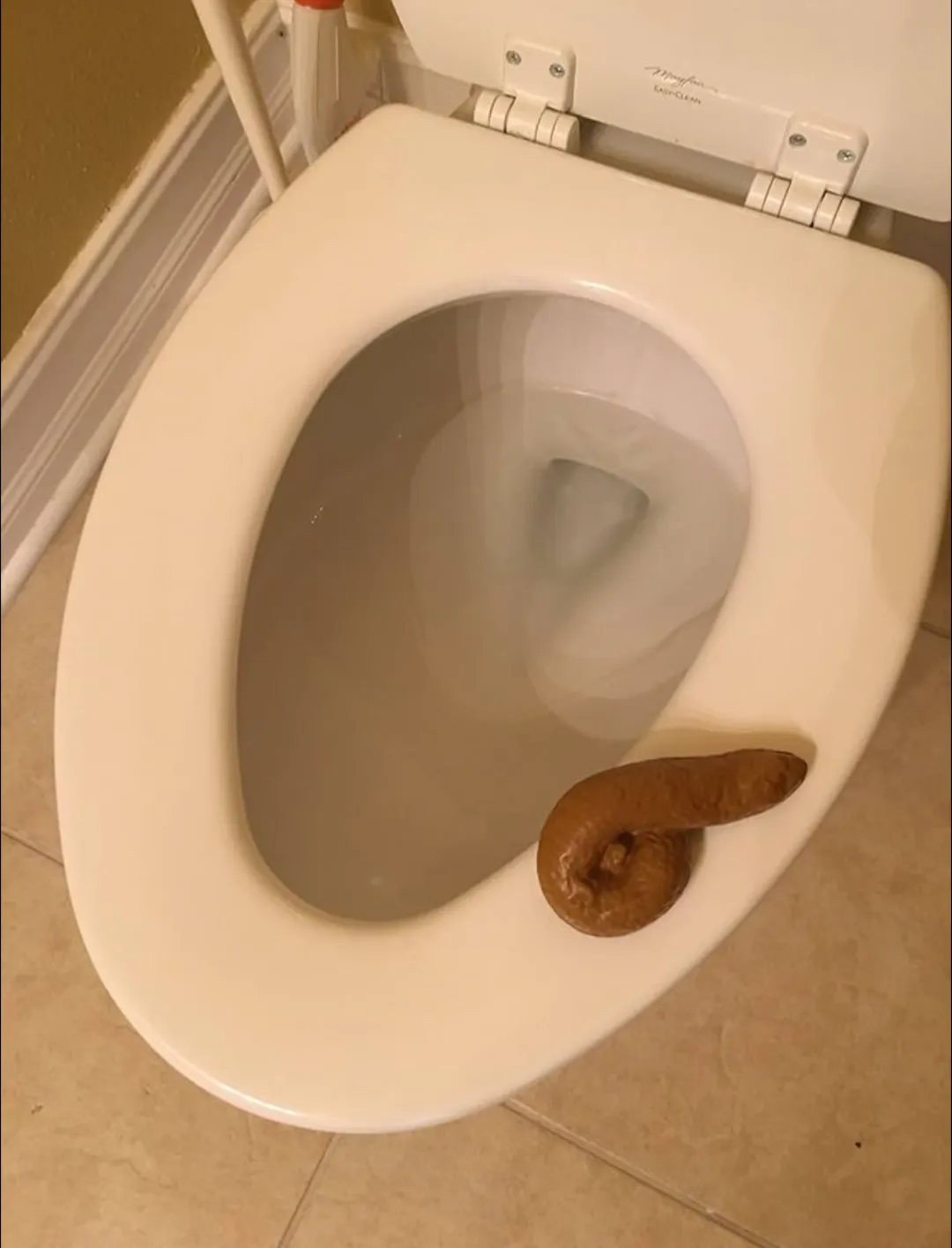 Check my poo, rate my poo. Library of Human Poops, Shits, and Feces Images.