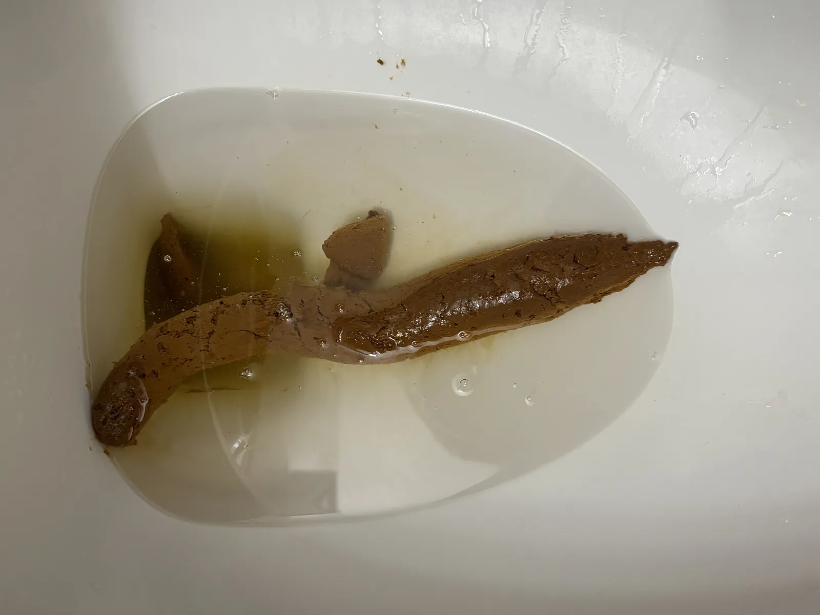 Christmas Dinner aftermath