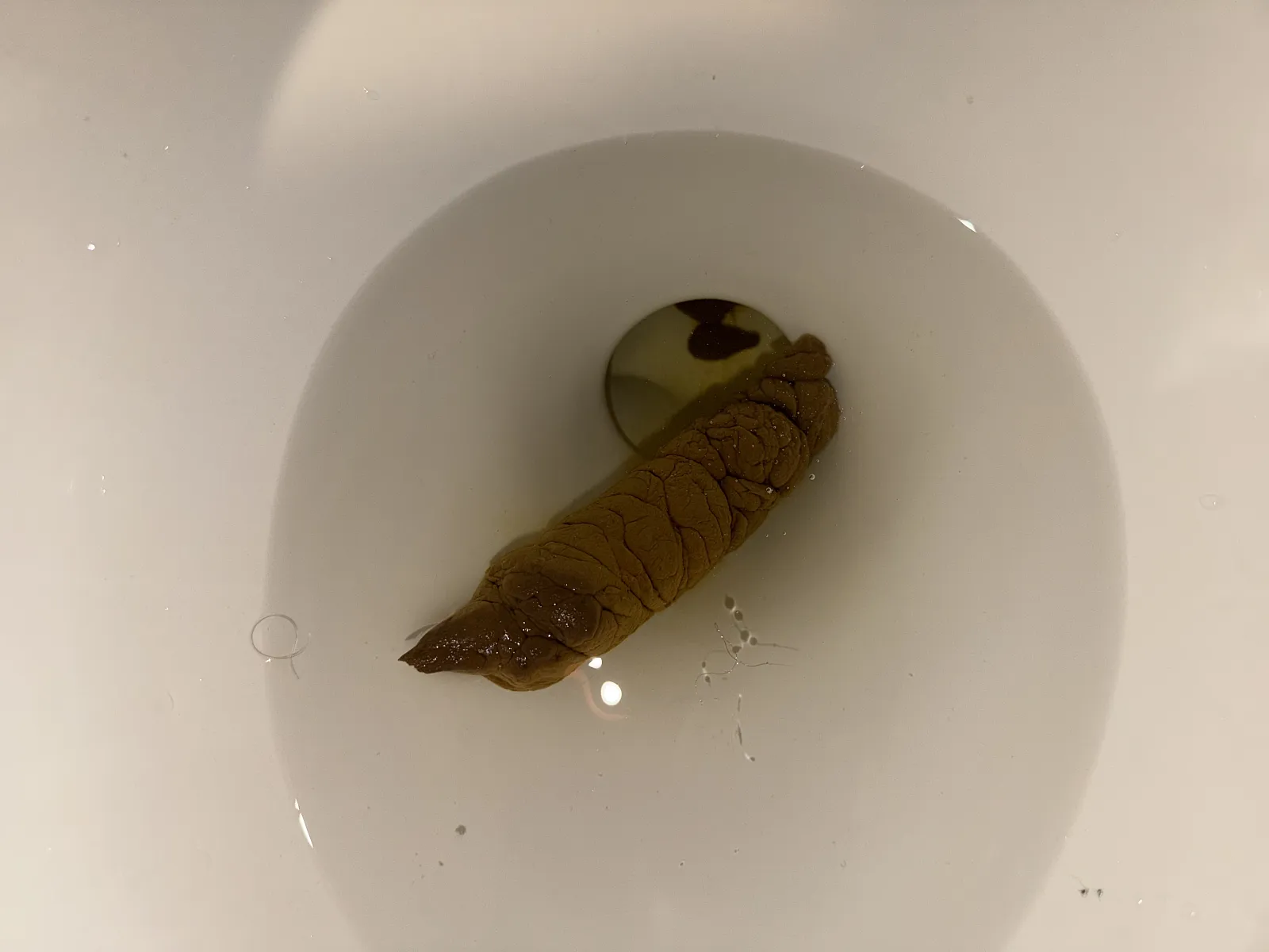 Christmas Season Yule Log