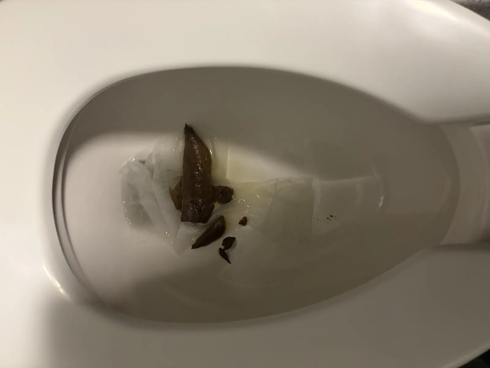 First poop