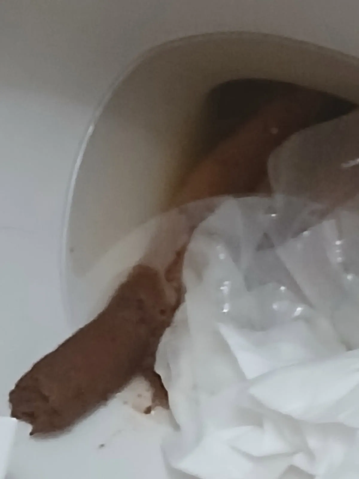 Pooasourus