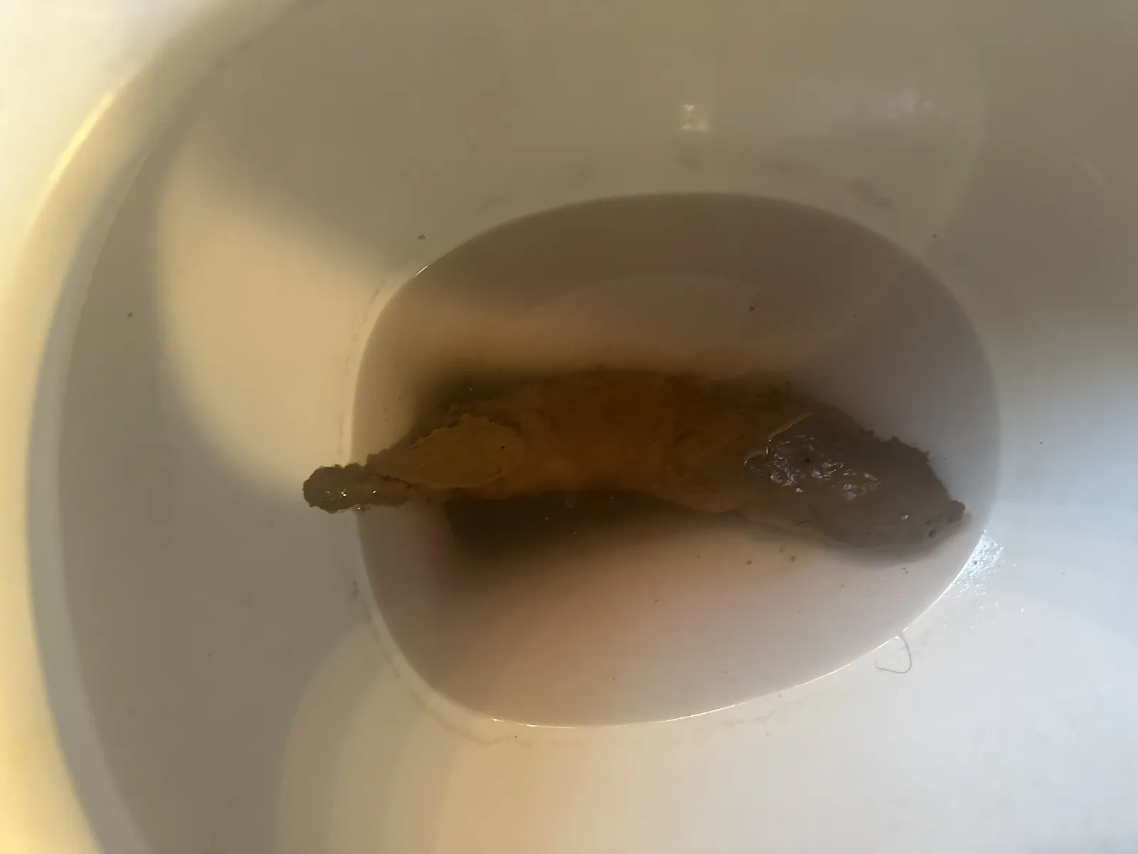 Mud slug