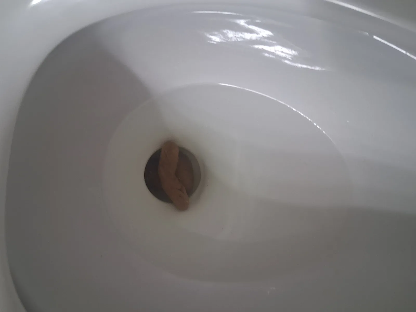 Smol poo