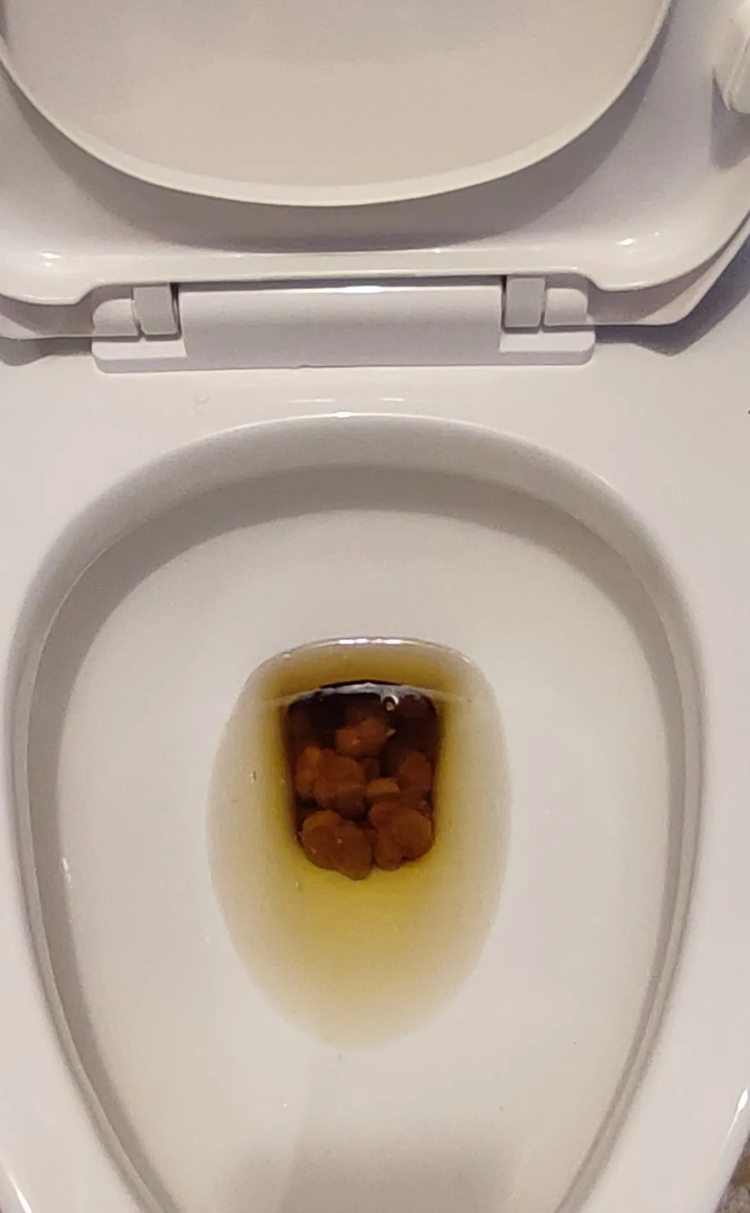 Mi primera caca del 2026