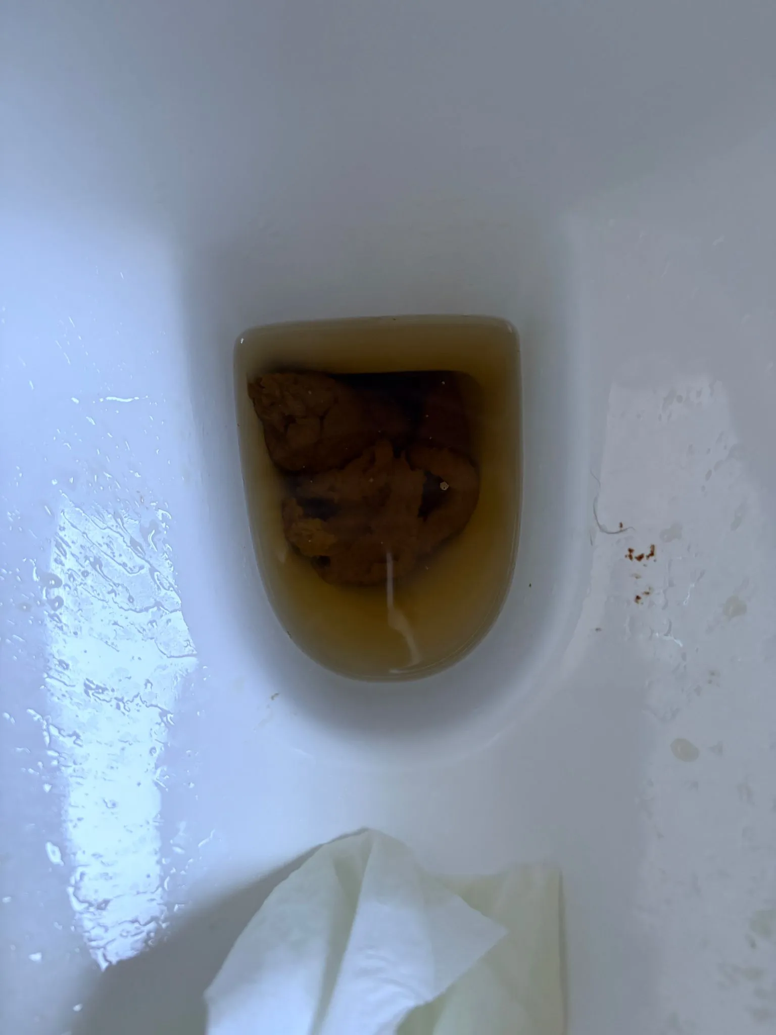little poop with pee