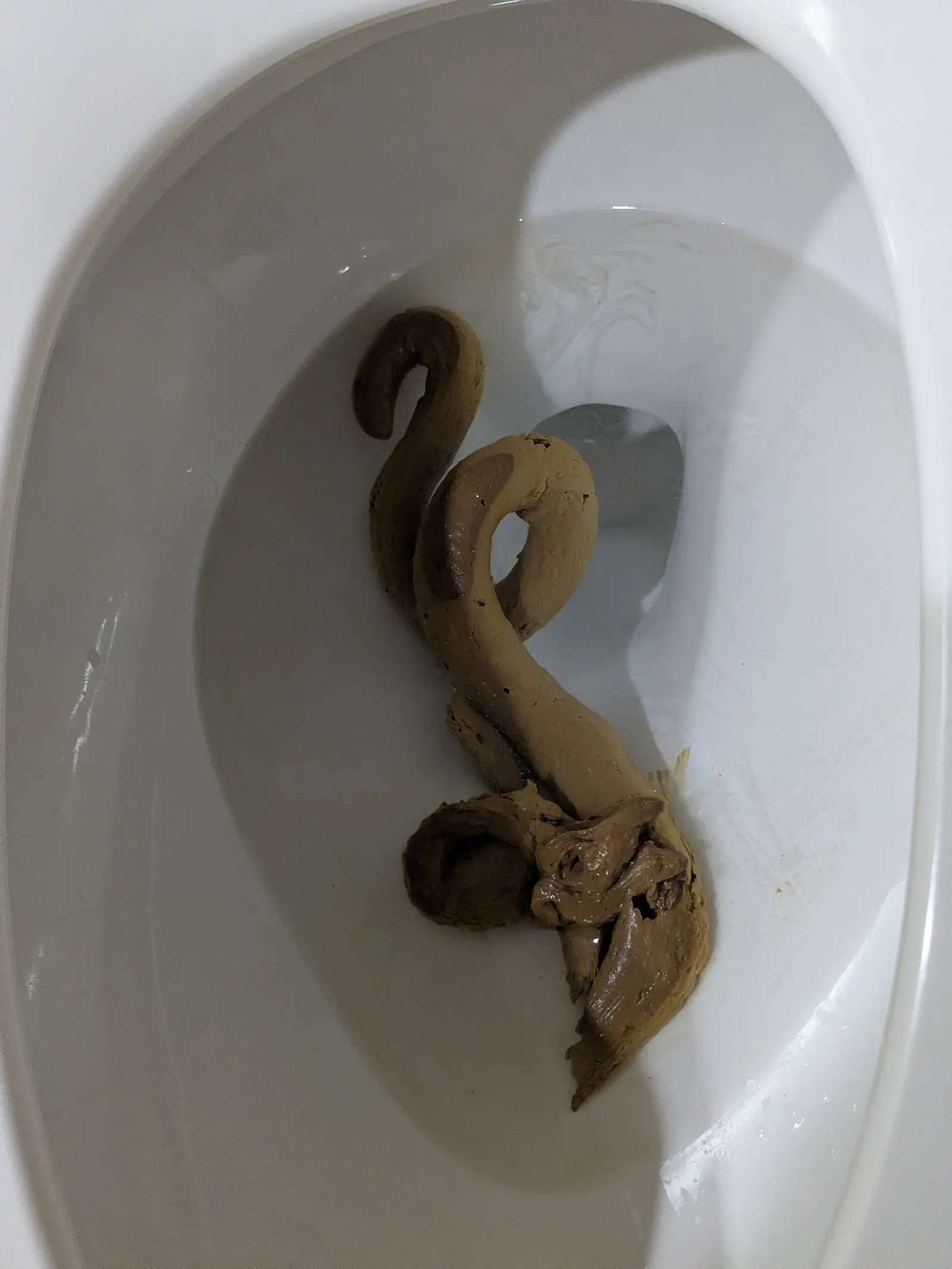 Nice poo