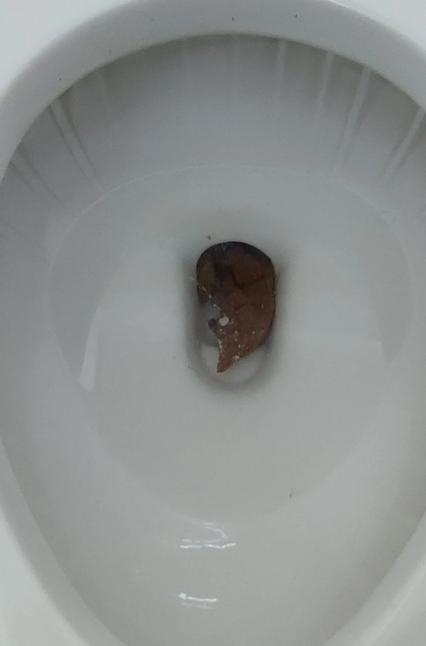 Mi popó mañanera