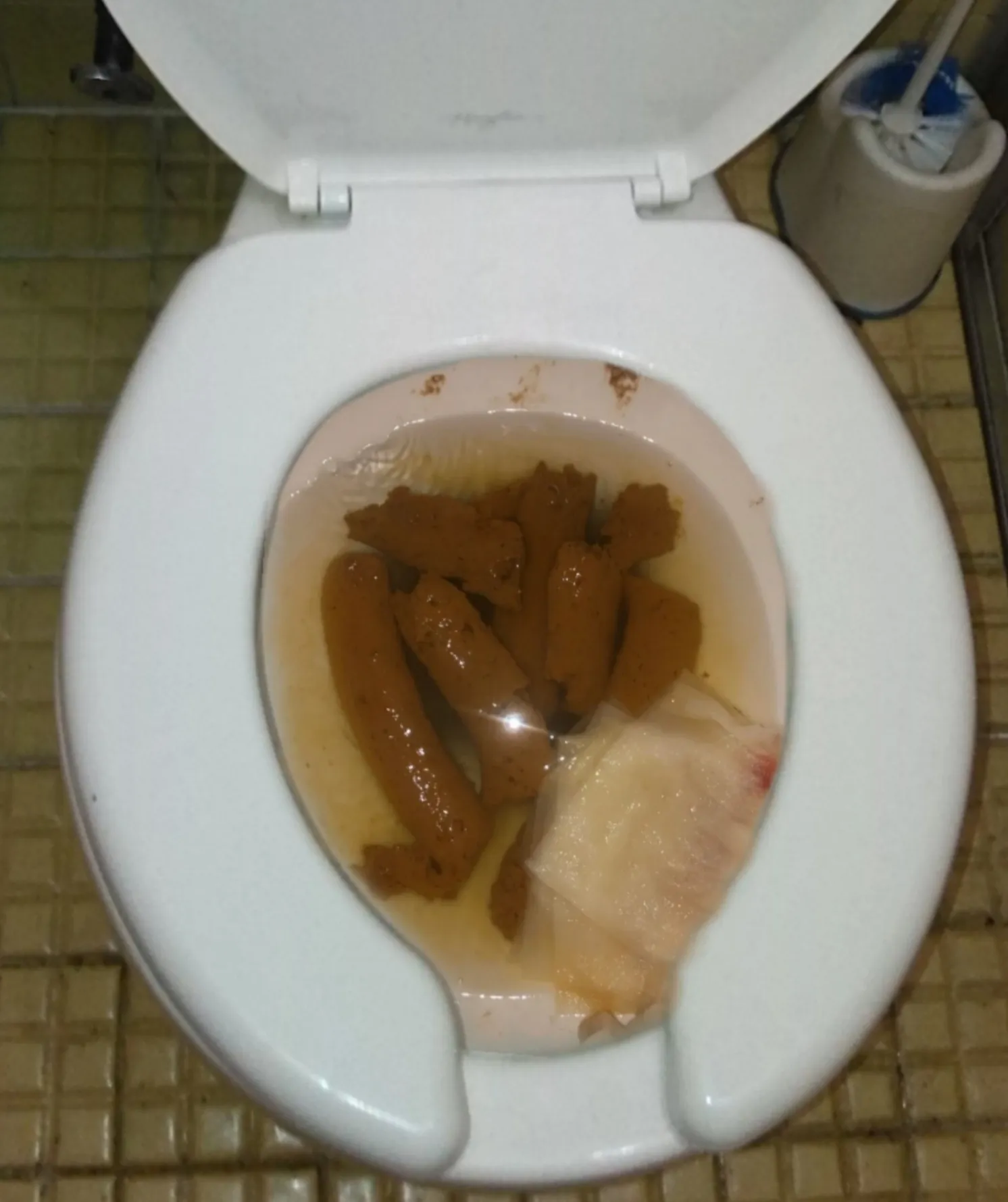 SORPRESA la caca de mi novia