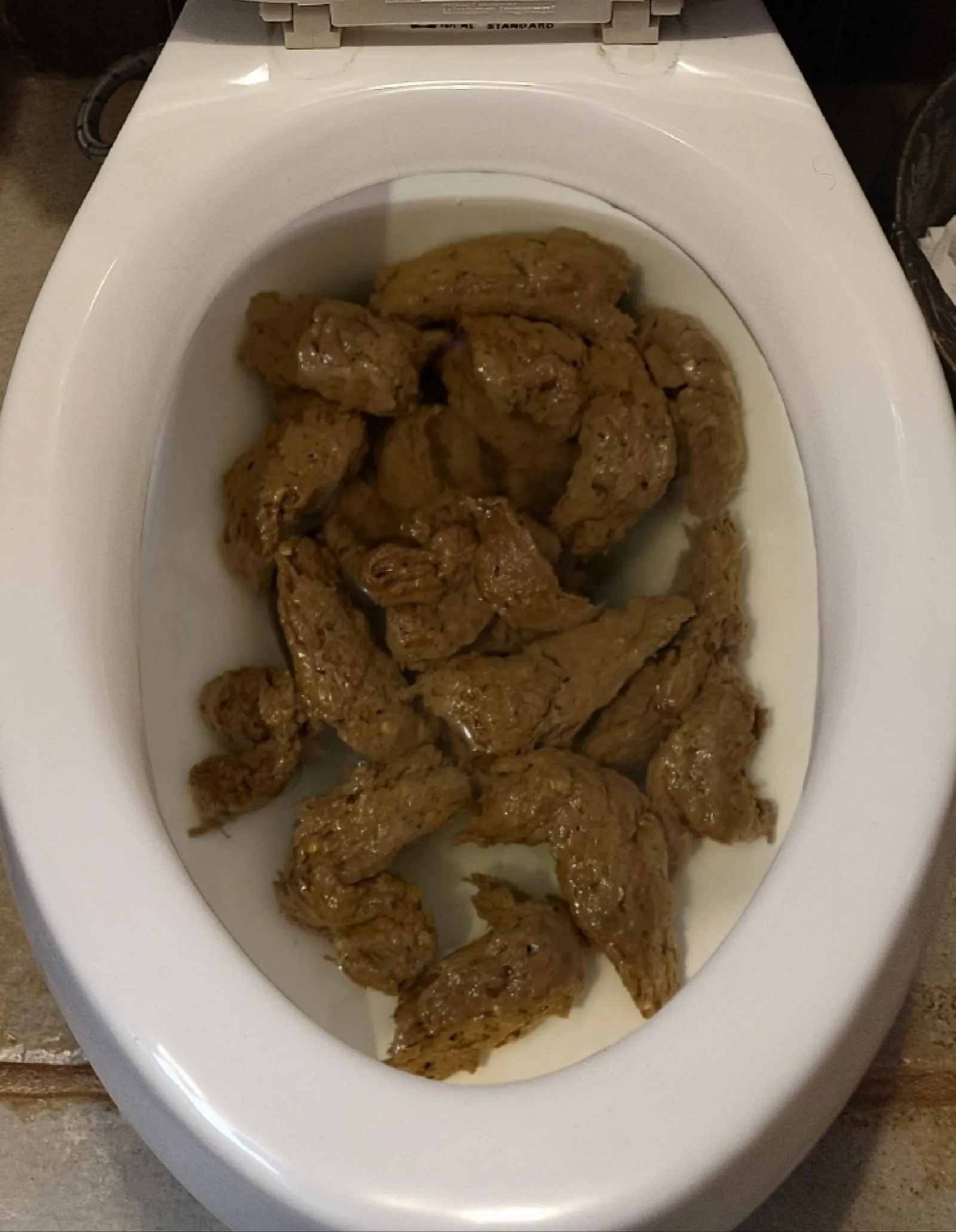 Mi novia volvió a tapar el baño