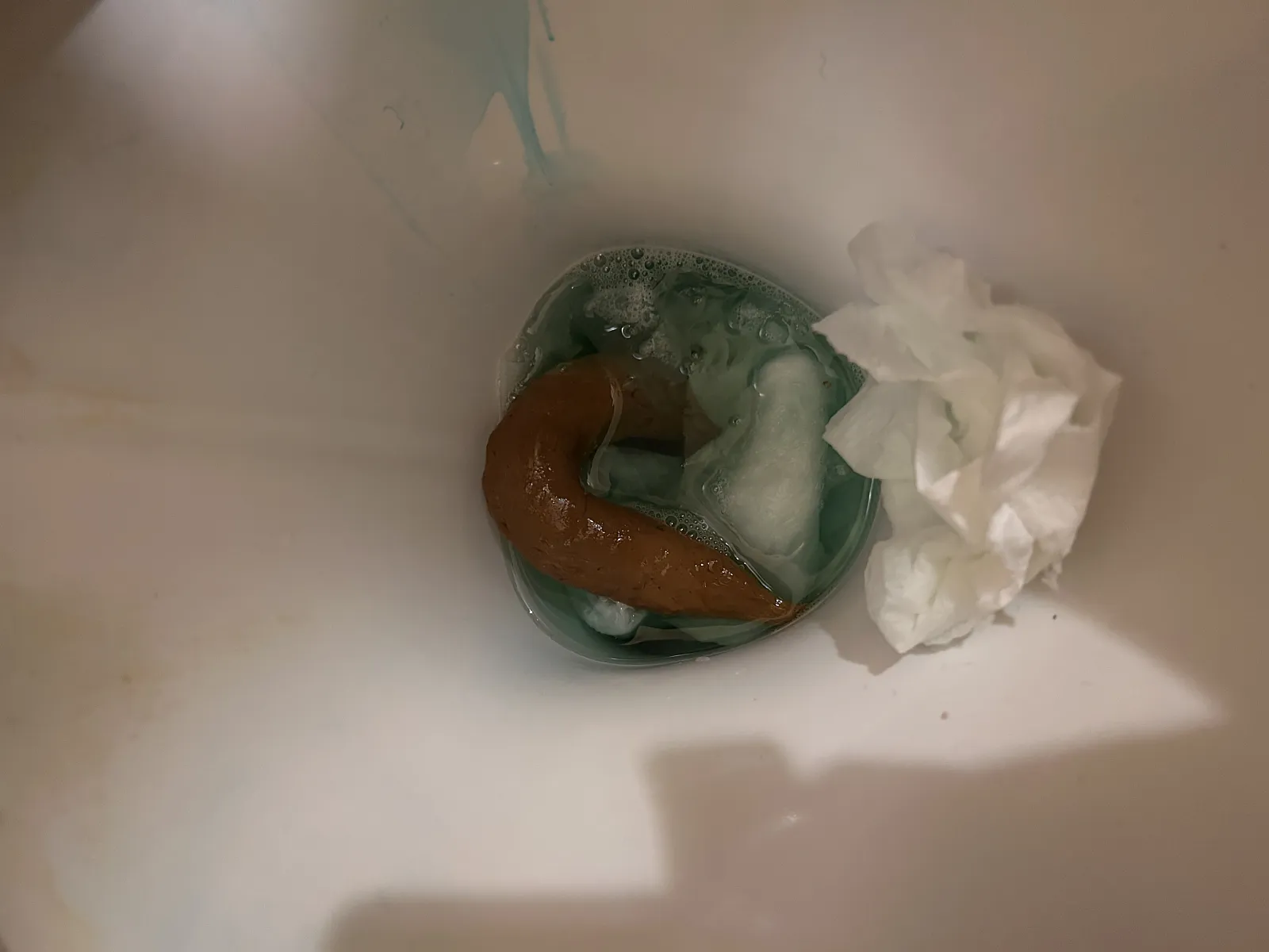 Perfect poo?