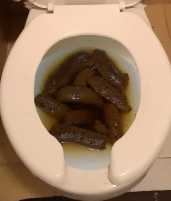 Popó muy abundante y el aroma es muy intenso
