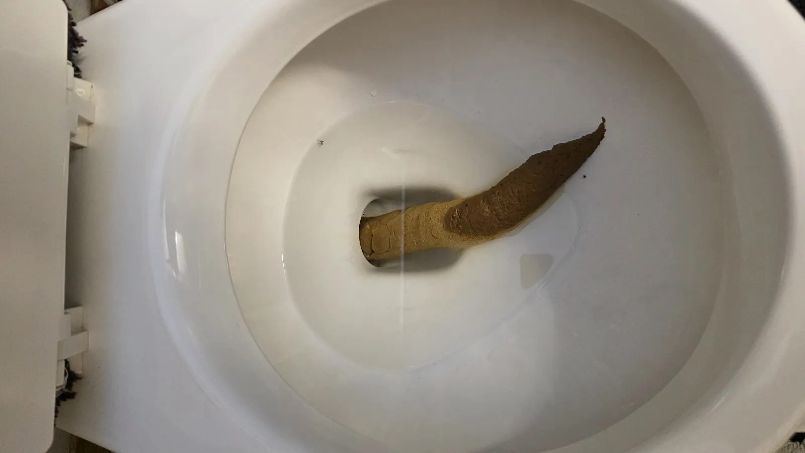 SMOOTHSNAKE