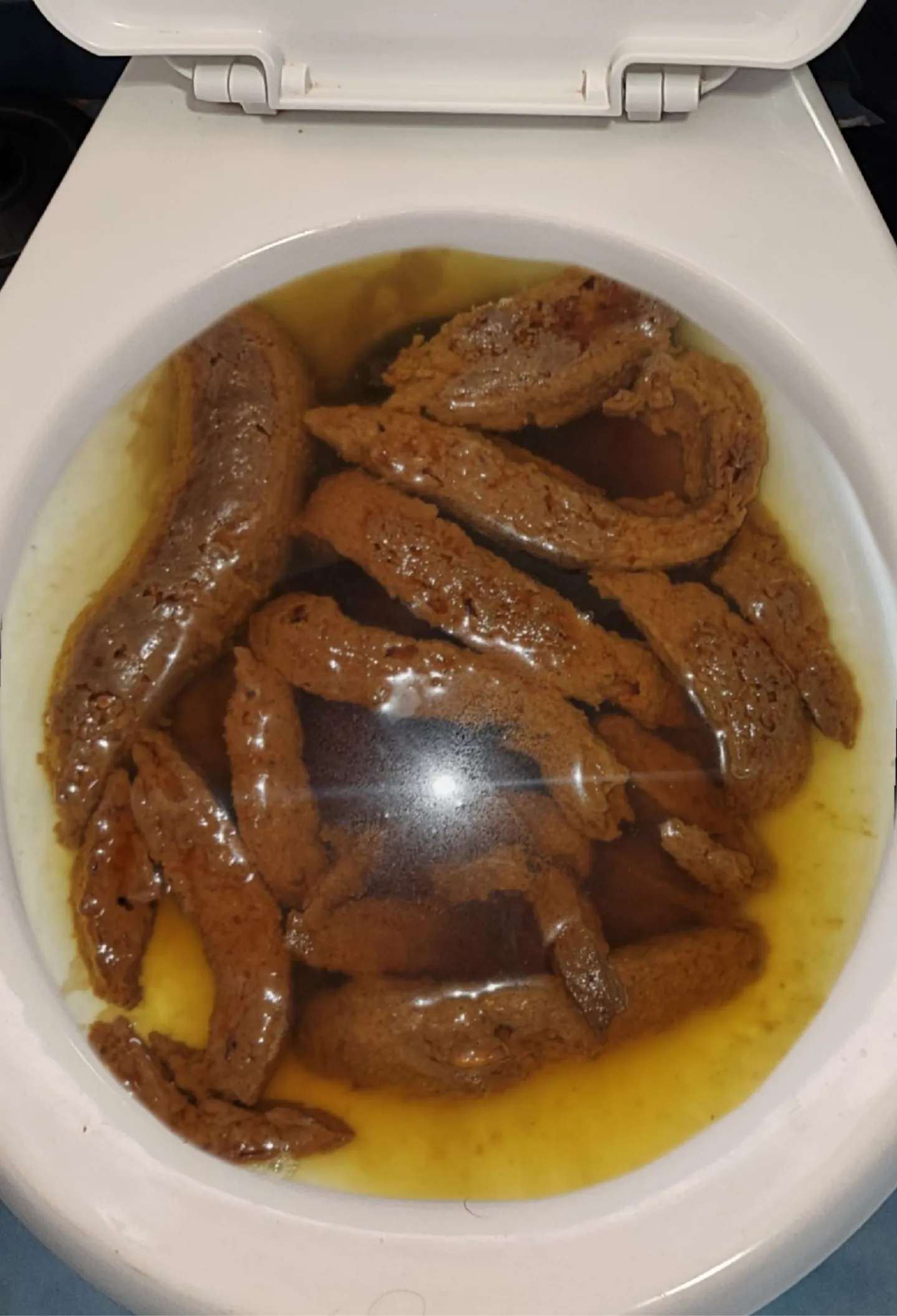 Mi novia una vez más me dejó el bañó hecho popó