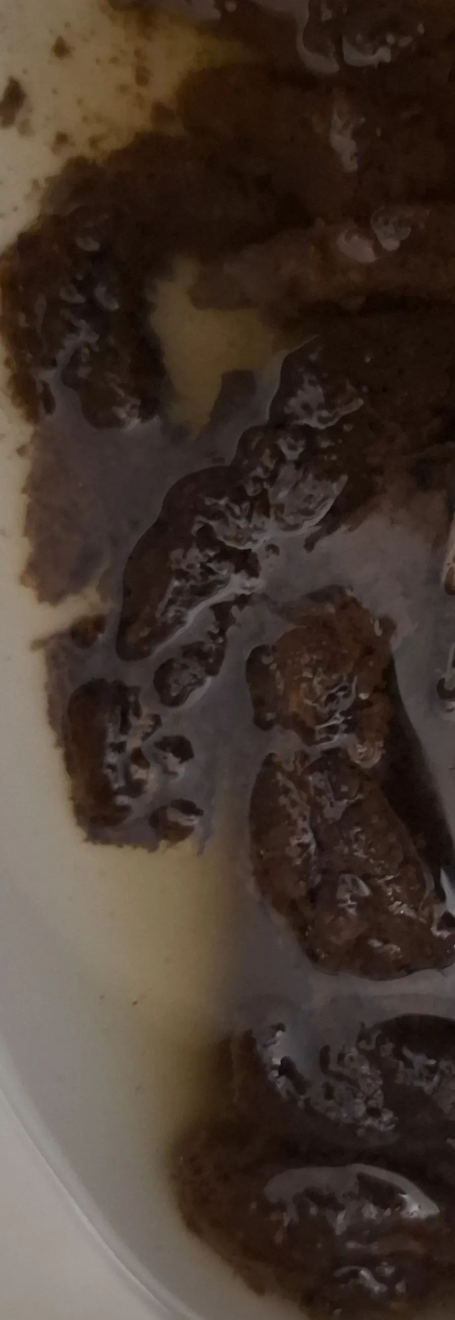Cambios intestinales