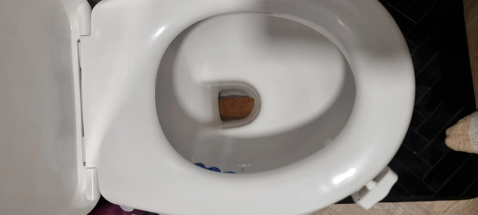 The Log !