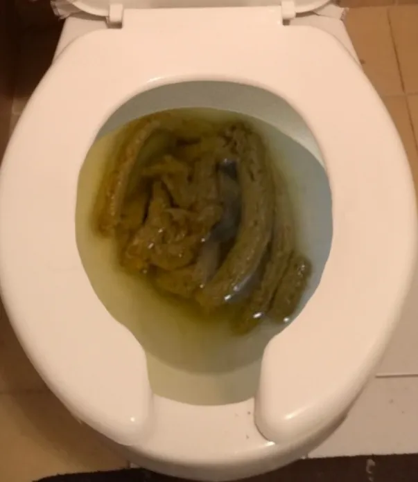 Caca de mi novia