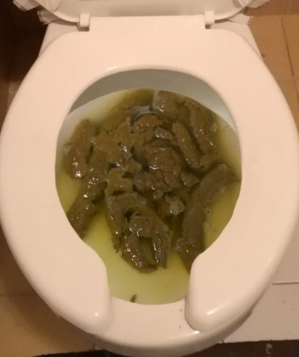 Otra caca más de mi novia