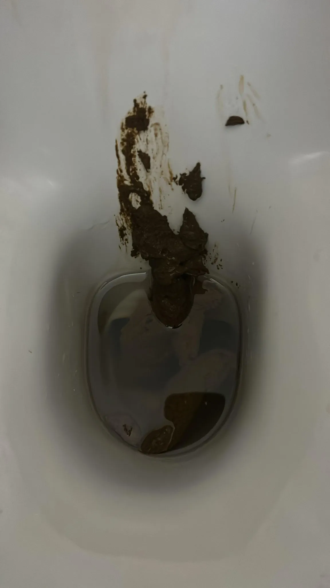 the chocolate factory