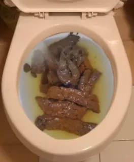 Tengo que ver si mi novia no tapó el baño una vez mas