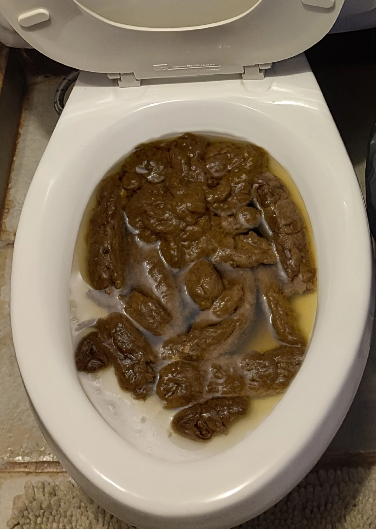 Ahora sí se tapó el baño
