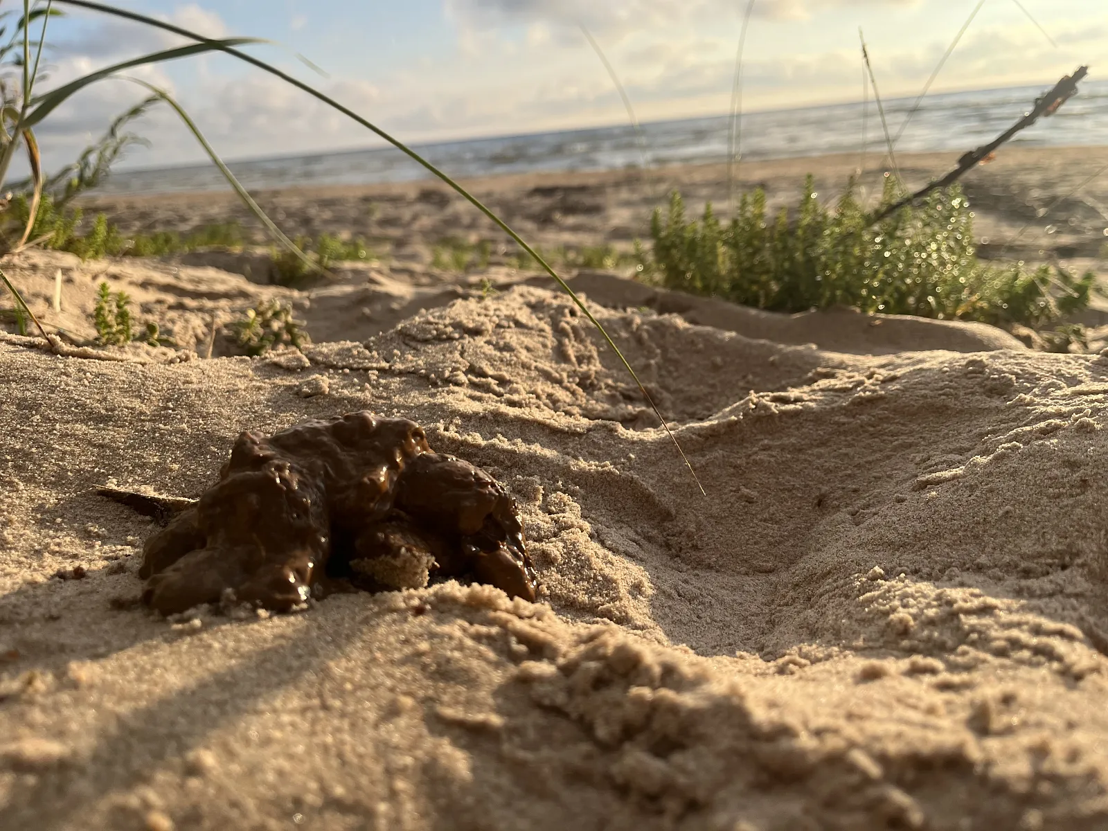 At the Beach
