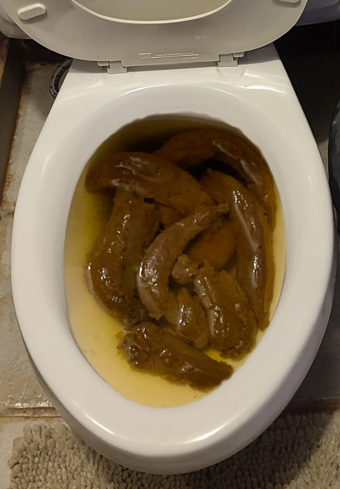 Otra caca de mi novia