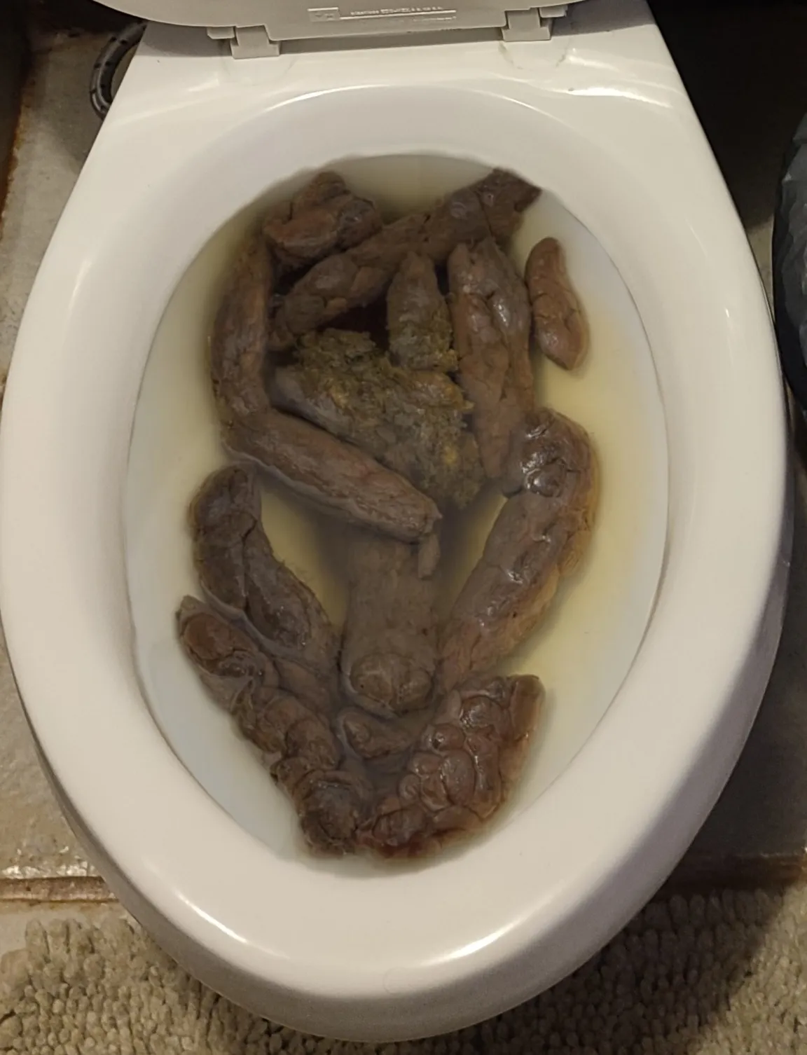 Una caca más de mi novia