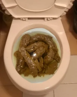 Mi novia se fue a trabajar y me dejó el baño hecho popó