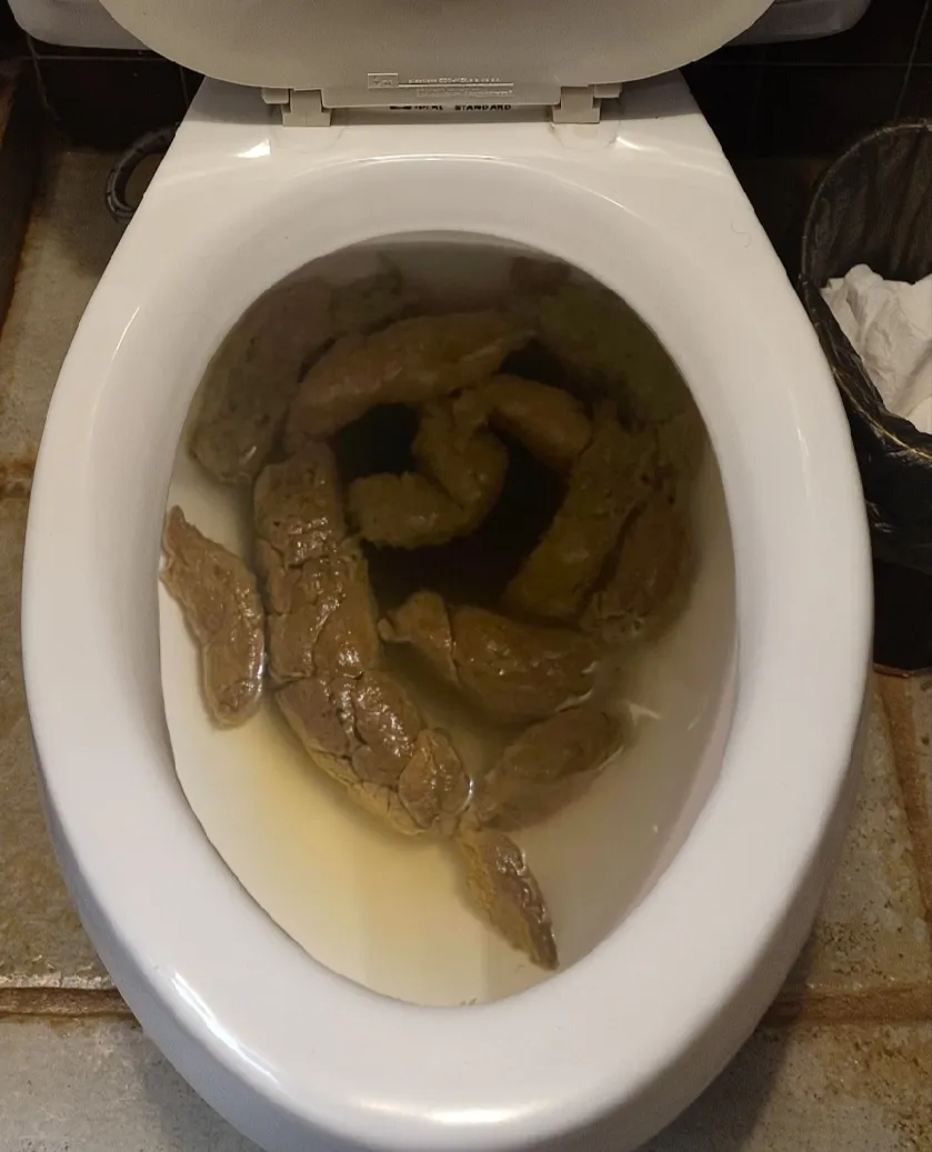 la popo de mi novia despues del desayuno